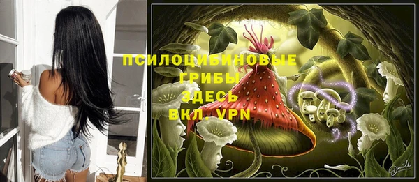 ALPHA-PVP Домодедово