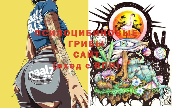 MDMA Premium VHQ Аркадак
