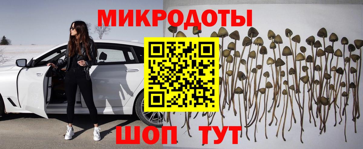 Псилоцибиновые грибы Cubensis  Бор  Галлюциногенные грибы мицелий 