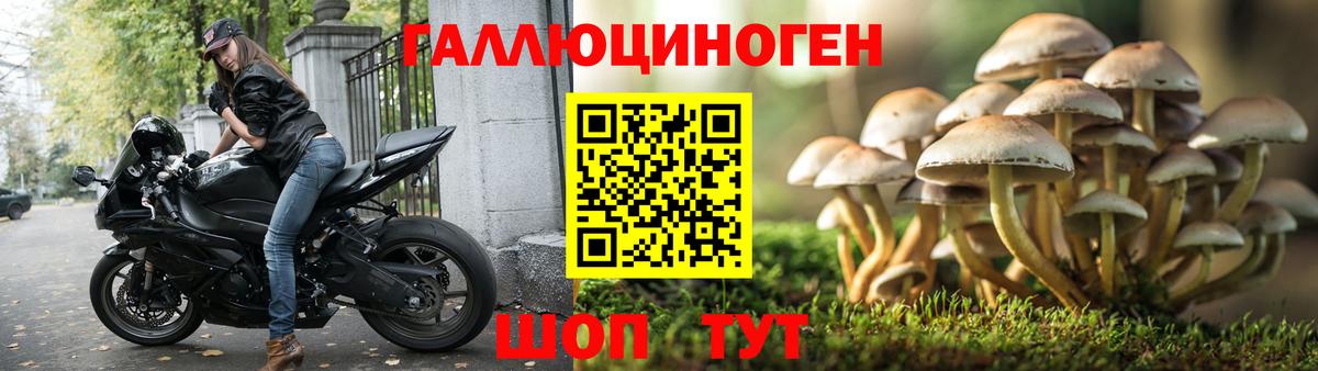 Бор  Вход с VPN  МЕТ  Экстази  Хэш  Плюхи  МЕФ  25-NBOMe  Бошки Шишки  Кислота  COCAIN  Марихуана 