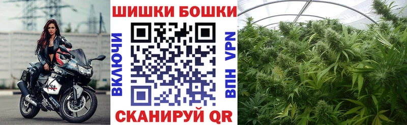 Бошки Шишки сатива  Бор 